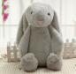 Preview: Plüsch Puppe Kissen Kind Spielzeug Cute plush dollrabbit